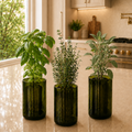Wine Bottle Planters Set of 3